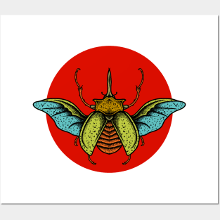 Insect 3 Posters and Art